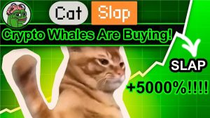 Crypto Whales Are Buying This Meme Coin – Will Catslap Make You a Millionaire This Bull Run?