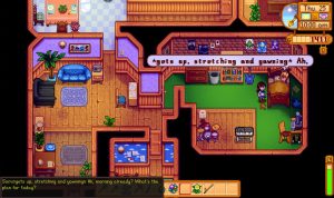 Stardew Drama