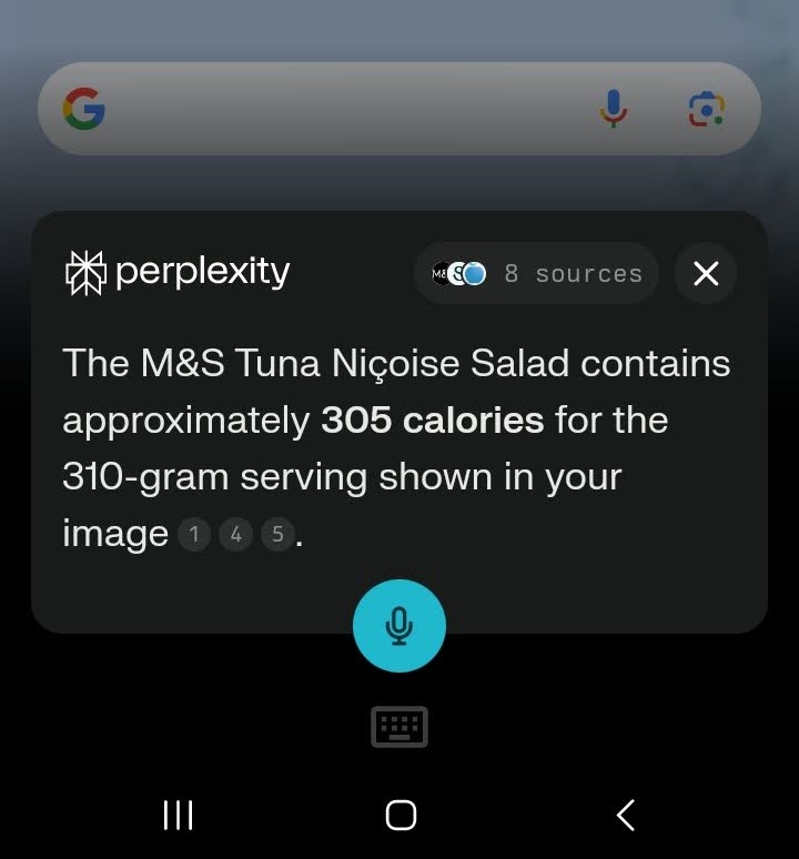 A Perplexity app interface identifying a meal as 