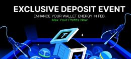 bingx rewards