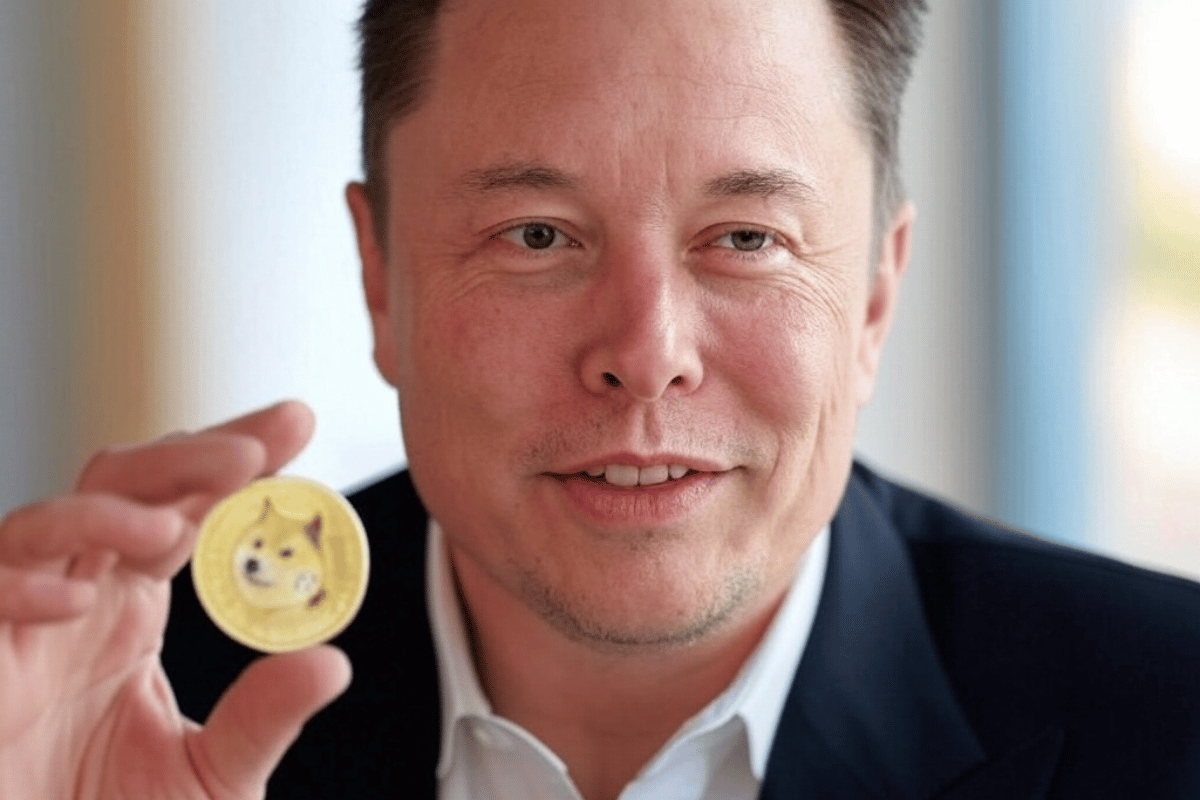 Elon Musk compares meme coins to a casino