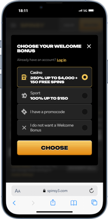 Step #1 - Visit the Spinsy Website