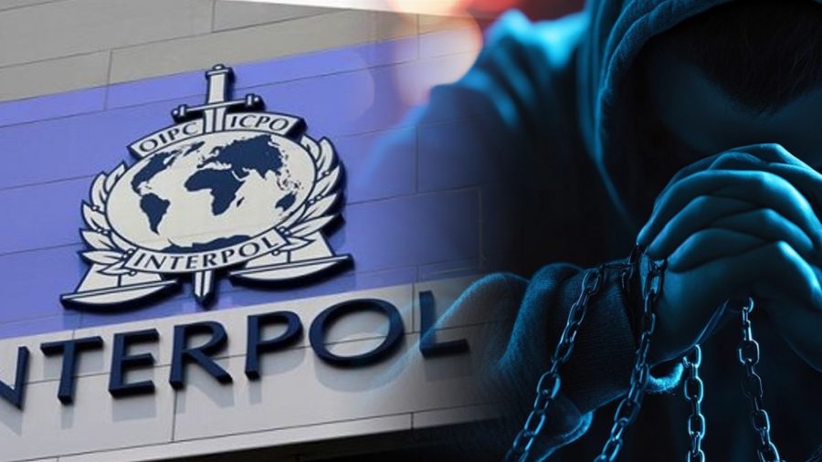 interpol cybercrime africa arrests