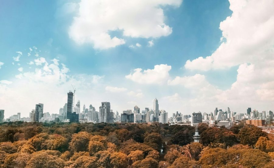 Bangkok cityscape framed by brown trees and blue sky
