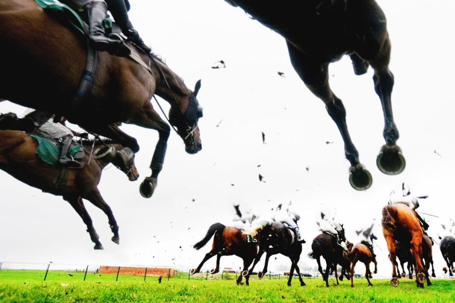 2025 Grand National Runners Guide