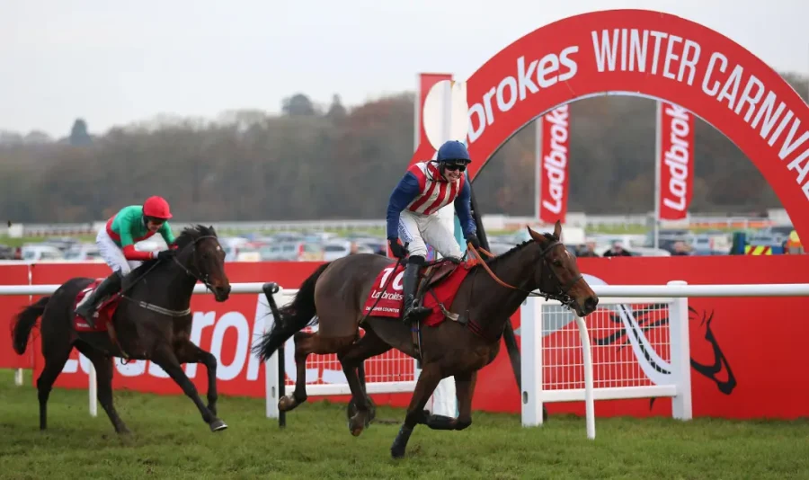 Official race course scene image from Ladbrokes website / Over a year has passed since Irish bettor Dylan Phelan placed a €30 ($34) each-way double on two horses, but Ladbrokes has refused to pay out the six-figure winning sum. 