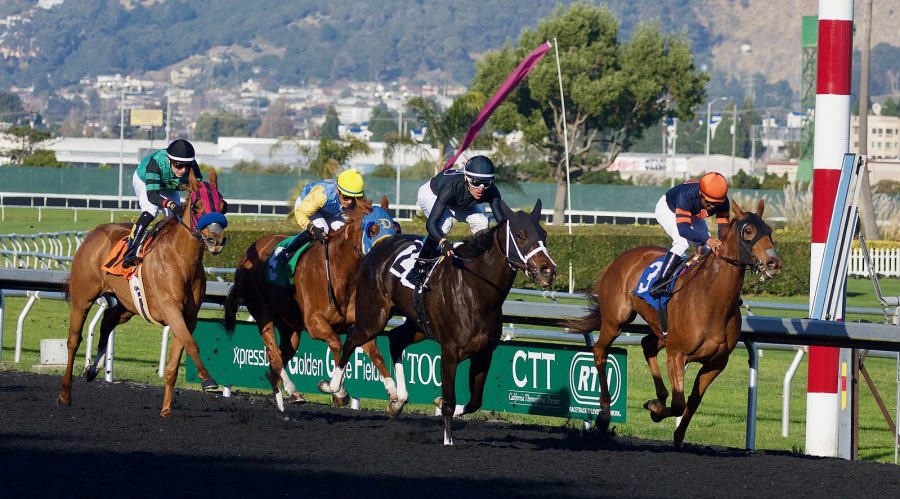 Horse racing at Golden Gate Fields, Albany, California. Race 5, 6 furlongs 2017.