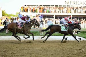 6 Best Betting Sites for Preakness Stakes 2025 