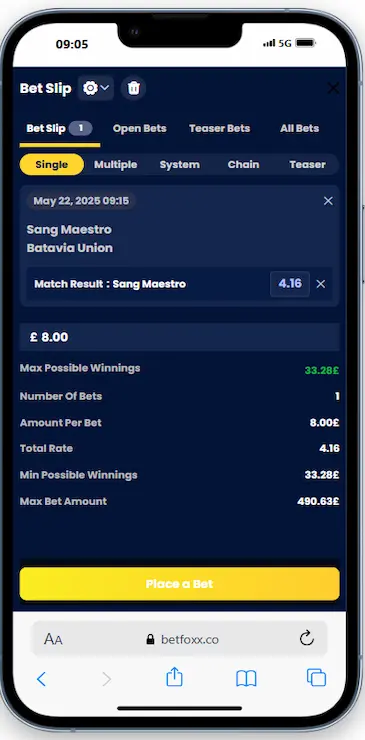 Step 3: Place Your First Bet