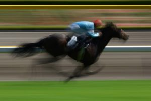  The Horse racing event at Tokyo race course on April 26, 2009 in Tokyo, Japan. (Photo by Tsutomu Takasu)