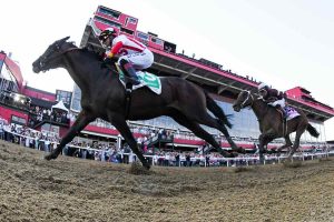 How To Bet On Preakness Stakes 2025 In Missouri