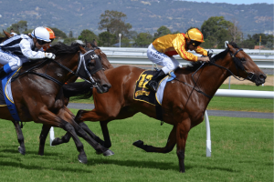Nevada trainer fined $100K for giving illegal drugs to four racehorses. Generic image of jockeys on race horses.