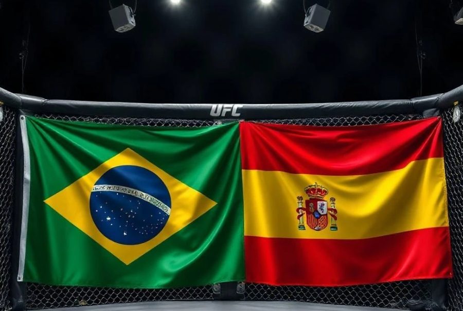 Brazil and Spain flags in a UFC cage