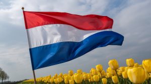 Dutch regulator crackdowns on Optdeck. A photograph of the vibrant 