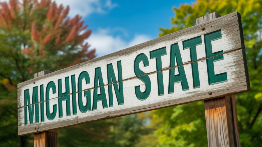A photograph of a weathered wooden sign displaying "MICHIGAN STATE" in bold green letters. The sign leans slightly against a backdrop of lush green trees and a vibrant blue sky, hinting at a sunny autumn day. Sunlight glints off the lettering, creating subtle shadows and highlighting the texture of the wood. The composition is simple and focuses entirely on the sign, evoking a sense of nostalgia and pride.