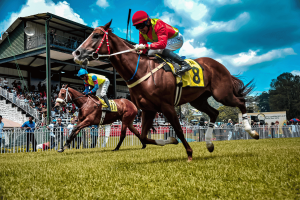 Racing tax could cost industry $442M, as British Horseracing Authority continues petition - research. Two jockeys riding racehorses at full speed during a horse race, with horse number 8 leading slightly ahead of horse number 5. The event is taking place on a grassy racetrack in front of a grandstand filled with spectators under a partly cloudy sky. A banner in the background reads "BTC GOVERNOR'S CUP RACE DAY 2019."