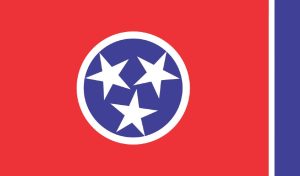 State flag of Tennessee. Tennessee regulator hits illegal offshore sportsbooks with $250K in fines