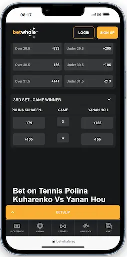 Tennis Betting Next Game