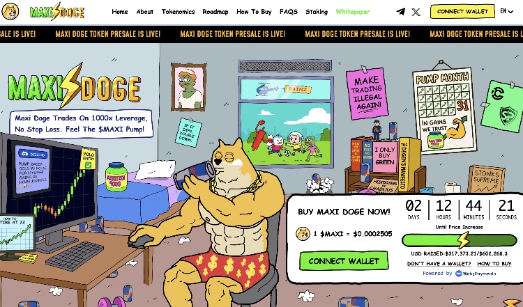 maxi doge binance-coin