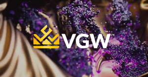VGW, online social games operator, confirmed a conditional partnership with Kletsel Dehe Wintun Nation of the Cortina Rancheria Tribe in California.