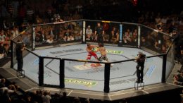 UFC Octagon ring, with two athletes inside.