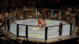 Permanent UFC ring, with two athletes inside.