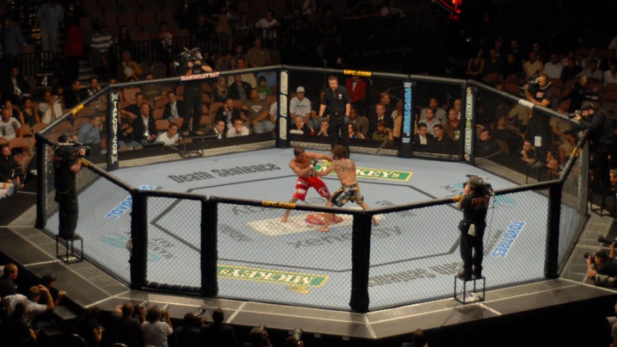 UFC Octagon ring, with two athletes inside.