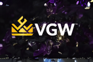 VGW shareholders agree to the acquisition offer by the founder of the founder Lawrence Escalante. The VGW logo includes an icon of a pelvic yellow crown to the left of the bold white letters "VGW" A dark background, purple and black.