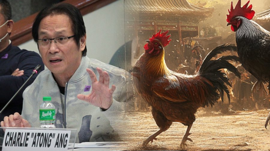 cockfighting murders