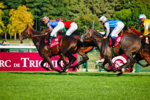 Horse races. Manchester man arrested over allegations of fixing horse races