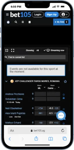 bet105 review