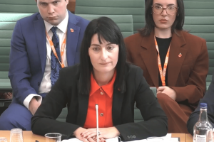 BCG chief Grannie Hurst addresses the Treasury Select Committee. BGC chief says those at risk of gambling harm are a small minority