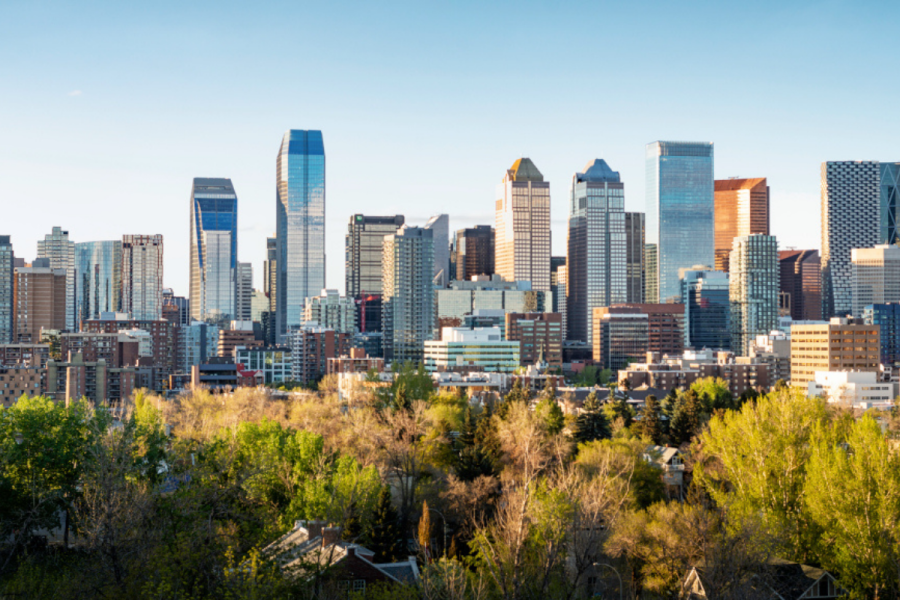 Skyline of Calgary, with foliage in the forefront and skyscraper-like buildings in the background. Five arrested in Calgary for alleged casino fraud following staff investigation