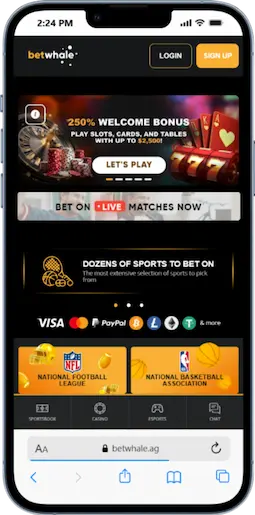 Step 1 - Visit the BetWhale Homepage