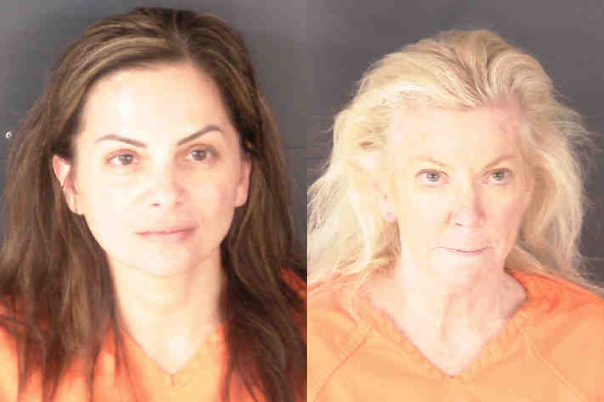 Sarasota Sheriff Mugshots