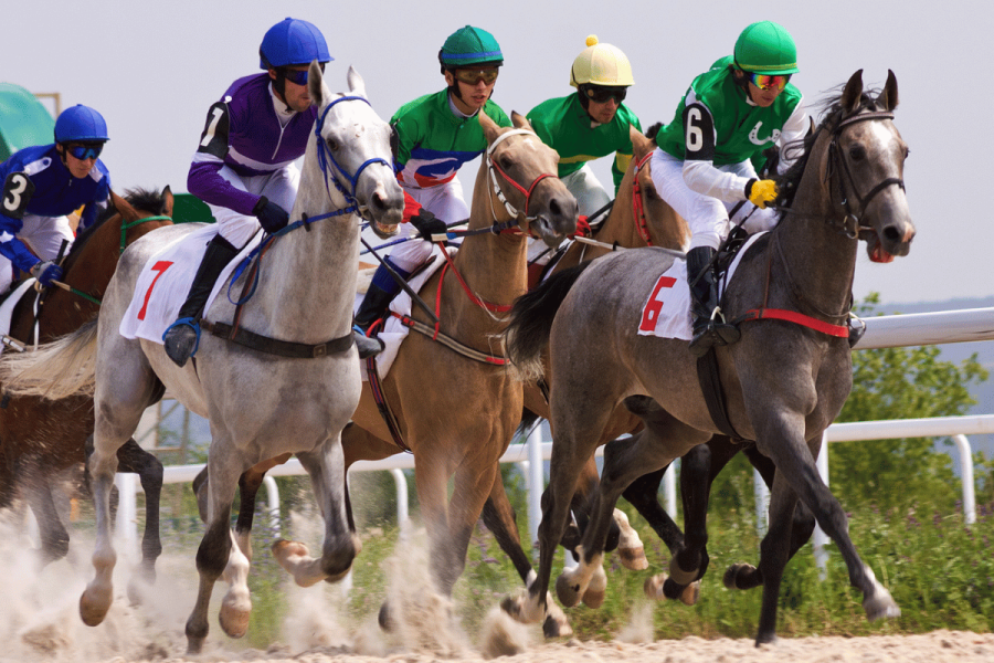 Entain announces it will end Coral Cup sponsorship after 52 years