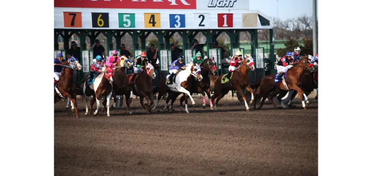 maria betting system