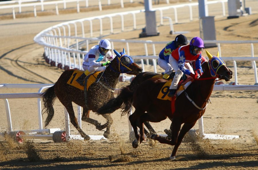 maria betting system