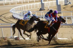 best race horse all time