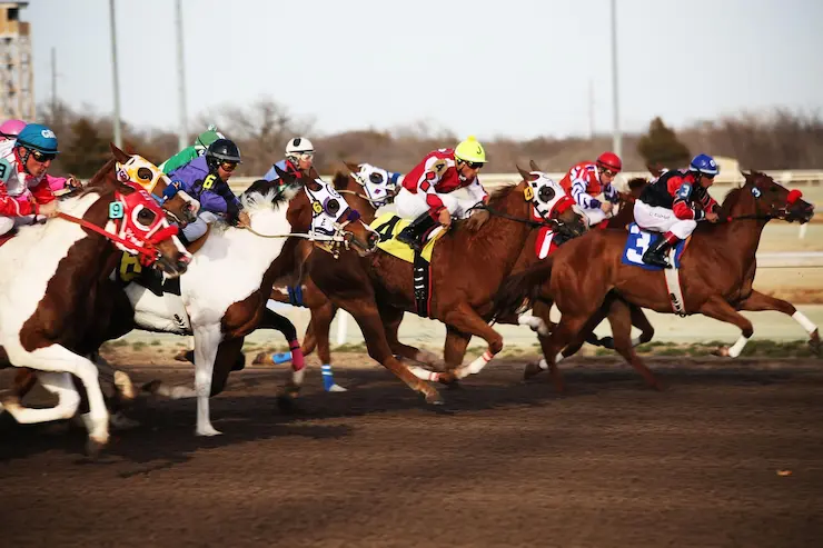 best race horse