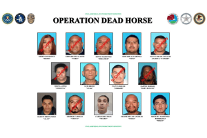Federal crackdown targets 18th Street gambling and drug network at MacArthur Park. Composite law enforcement poster titled “Operation Dead Horse” displaying fifteen mugshots of alleged 18th Street gang members and associates, many labeled “In Custody,” with names and nicknames beneath each photo and federal and local agency logos across the top.