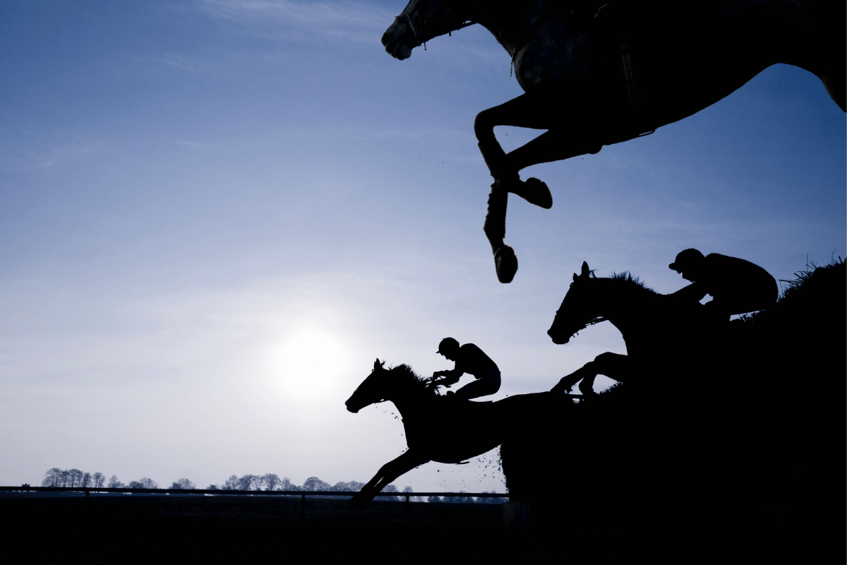 Hawthorne creditors seek probe into racing funds amid bankruptcy dispute case