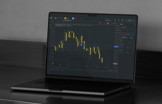 Seasoned Traders Rely on Disciplined Information Intake
