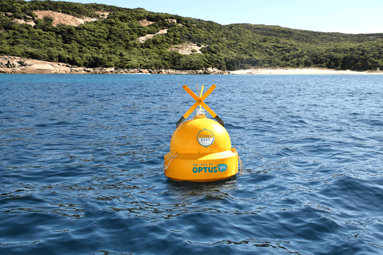 clever-buoy