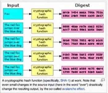 google password breaches